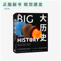 B大历史:从宇宙大爆炸到我们人类的未来,138亿年的非凡旅程