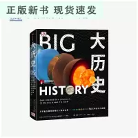 B大历史:从宇宙大爆炸到我们人类的未来,138亿年的非凡旅程