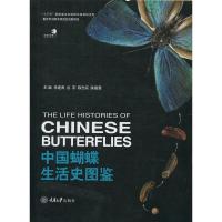 B好奇心书系·图鉴系列:中国蝴蝶生活史图鉴 (精装彩图版) Y库朱建青等重庆大学9787568911917