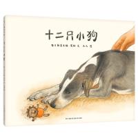 B蒲公英童书馆：十二只小狗 （精装绘本） Y库格日勒其木格·黑鹤贵州人民9787221098702