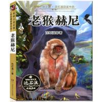 B老猴赫尼 RT沈石溪著湖南少年儿童9787556219209
