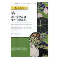 B一本书明白桃速丰安全高效生产关键技术 RT王孝娣,王海波主编中原农民9787554218976