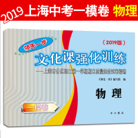 2019年版物理一模卷 上海中考一模卷物理 仅试卷 领先一步文化课强化训练一模卷 上海市各区初三初中九年级期末质量抽查