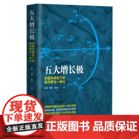  五大增长极：双循环格局下的城市群与一体化张明魏伟陈骁中国大学出版社9787300293370