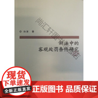  刑法中的客观处罚条件研究 白洁 群众出版社 9787501456925 刑法处罚条件研究中国
