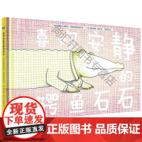  喜欢安静的鳄鱼石石(奇想国当代) 娜塔莎·安德瑞哈密哈多 外语教学与研究出版社 9787513