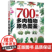  700种多肉植物原色图鉴(第二版) 王意成 江苏凤凰科学技术出版社 9787571302542