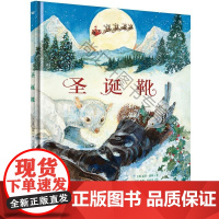  圣诞靴(奇想国当代) 丽莎·惠勒 外语教学与研究出版社 9787513594639 图画故事美