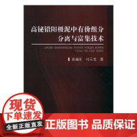  高铋铅阳极泥中有价组分分离与富集技术 徐瑞龙 冶金工业出版社 9787502481957 nu