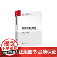  国际版权法律与政策 西尔克·冯·莱温斯基 知识产权出版社 9787513052283 版权作权