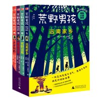 神秘岛 荒野男孩探险小说(全四册) 神秘岛 远离家乡 +荒野试炼+雪地生还+大步向前 广西师范大学出版社