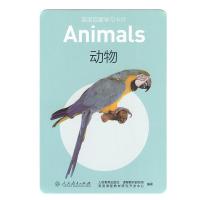 英语启蒙学习卡片 动物