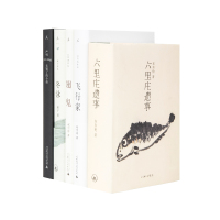 华语原创青年作家系列(共5本) 翅鬼 飞行家 冬泳 六里庄遗事 长皱了的小孩 双雪涛 班宇 东东枪 严明 代表