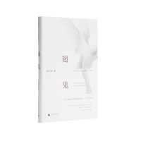 翅鬼 双雪涛 飞行家 小说