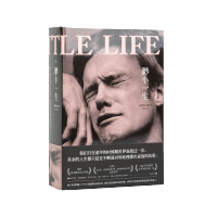 渺小一生 柳原汉雅 外国文学 美国文学 长篇小说 追风筝的人 生活大爆炸 谢耳朵 A Little Life 林中