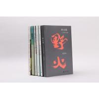  龙应台系列作品 美丽的权利 银色仙人掌 亲爱的安德烈 野火集 孩子你慢慢来 目送