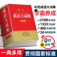2021年成语大词典彩色本32开成语大全成语现代汉语词典中小学初中高中专用工具书新华字典中华成语字典全功能四字词语大全