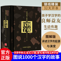 精装图说汉字 图解汉字字典 甲骨文丛书甲骨文字典画说汉字工具书中国汉字演变过程1000个汉字故事说文解字青少年初高中学