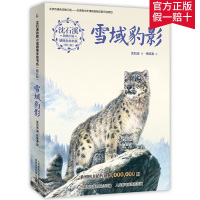 [2件32元]沈石溪动物小说感悟生命书系(修订版)雪域豹影 经典文学9-15岁儿童中小学生课外阅读长篇小说故事书籍获奖