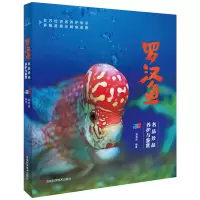 邮 罗汉鱼:名品珍品养护与鉴赏 胡南波 水族箱观赏鱼饲养繁殖书籍鱼缸宠物养鱼图书 罗汉鱼书籍热带观赏鱼饲养繁殖图书图鉴
