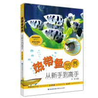  热带鱼饲养从新手到高手 家庭鱼缸养鱼书养鱼知识书 热带鱼观赏鱼养殖技术书技巧大全鱼饲料配制常见鱼病技术 养鱼书