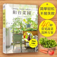 阳台菜园 40种常见蔬菜混种方案 简单轻松 不易失败 阳台种菜书 蔬菜种植书 绿色蔬菜种植技术大全 家庭阳台盆景蔬菜