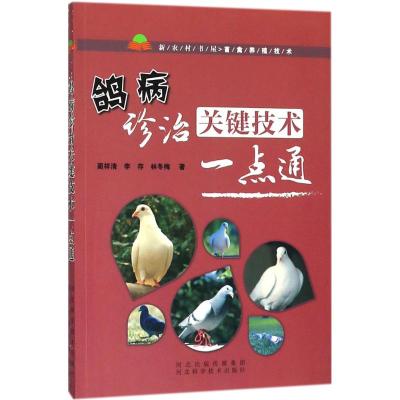  鸽病诊治关键技术一点通 蔺祥清 畜牧/养殖专业科技 兽医学书籍 河北科学技术出版社 9787537582803