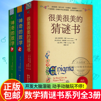 3册数学谜题系列 很美很美的猜谜书+神奇的数学:517个开发大脑潜能的数学谜题 益智游戏书三四五年级6-12岁小学生课
