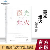  微光 炬火 张述 著 十年前是微光 十年后是炬火 9787559806925 广西师范大学出版社
