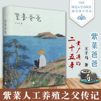 紫菜爸爸 王千马 著 著 外国现当代文学 文学 广西师范大学出版社