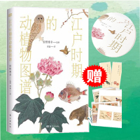  江户时期的动植物图谱写生狩野博幸 日本江户时代艺术大成之作动 裸脊锁线博物画书籍