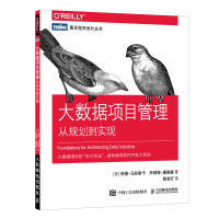 大数据项目管理从规划到实现 特德马拉斯卡等著薛命灯译大数据开发实战云计算教程书籍图灵程序设计丛书