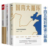 【全三册】十四五大战略与2035远景+国内大循环+十四五与双循环 十四五规划解读三部曲十四五时期基本思路+目标国际国内