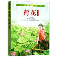荷花叶圣陶适合小学3\4年级叶圣陶儿童文学集人教版语文同步阅读课文作家作品系列三四年级课外书经典书目课外阅读书籍