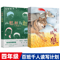 从憨憨到敢敢风山的狼套装2册百班千人33期四年级初级班共读书
