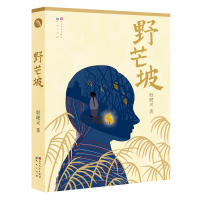 野芒坡 殷健灵儿童文学长篇力作三四五六年级小学生课外书籍男孩成长励志故事 9-12-14岁儿童读物心灵成长小说 寒暑假