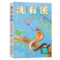 太阳鸟和眼镜王蛇 沈石溪动物小说单本 小学生阅读儿童读物文学拼音注音版7-8-10-12岁书籍图书故事书 一二四五六三