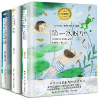 六年级3册 匆匆朱自清散文集宇宙生命之谜第一次盼望 史铁生著 小学语文同步阅读书系小学生课外书籍 长江文艺出版社K