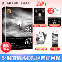 [印签版+船票+书签+海报] 迷海 李吉军著窥探人生迷思的寓言式长篇言情小说 天雪文化