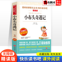 小布头奇遇记 无障碍精读版 天地出版社小学生三四五六年级课外阅读书籍经典文学名作小说7-12岁儿童读物书世界经典文