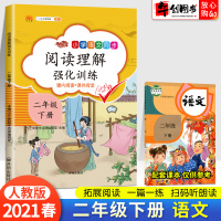 阅读理解专项训练书二年级下册语文阅读理解人教版小学课外阅读书籍强化训练阅读真题80篇技巧与方法每日一练同步练习册题汉之