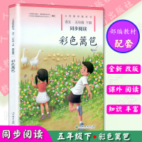 新版彩色篱笆五年级下册语文同步阅读5年级下册配人教版小学5五年级下册语文书同步教辅使用 走进书里去的升级版彩色篱笆