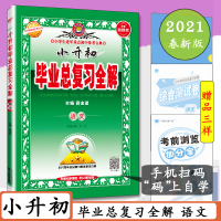 2021用小升初毕业总复习全解 语文 全国通用版 小学生进军重点中学宝典专项训练 金星教育出品 小升初语文总复习资料