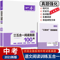 2021版九年级语文中考一本B版现代文阅读技能训练文言文古代诗歌五合一人教版初中学生9年级上下册课外名著阅读理解初三专