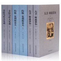 大卫科波菲尔 约翰克里斯朵夫 卡拉马佐夫兄弟 外国文学小说名著套装书籍名原著中文全译本青少年初中高中课外读物