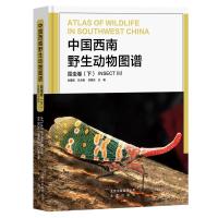 中国西南野生动物图谱 昆虫卷(下) 朱建国 总主编 买国庆 主编 著 生物科学 生命科学/生物学