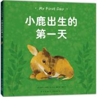 小鹿出生的第一天 (美)史蒂夫&middot;詹金斯(teve Jenkin),(美)罗宾&middot