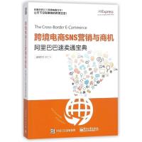 跨境电商N营销与商机(阿里巴巴速卖通宝典)