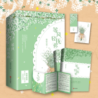 等风轻抚你 婚书 立牌 胸卡*2 彩绘飞机盒