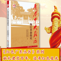 广东中央苏区梅江革命简史 红色广东丛书
